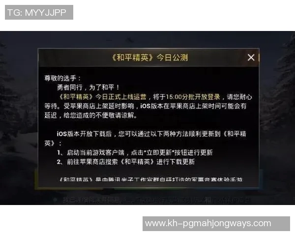 聚焦和平精英V5最新状态分析与玩家反馈探讨