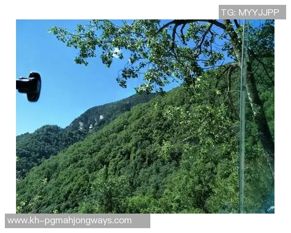 王者荣耀中的传奇之路BLG战队的奋斗与突破全纪录